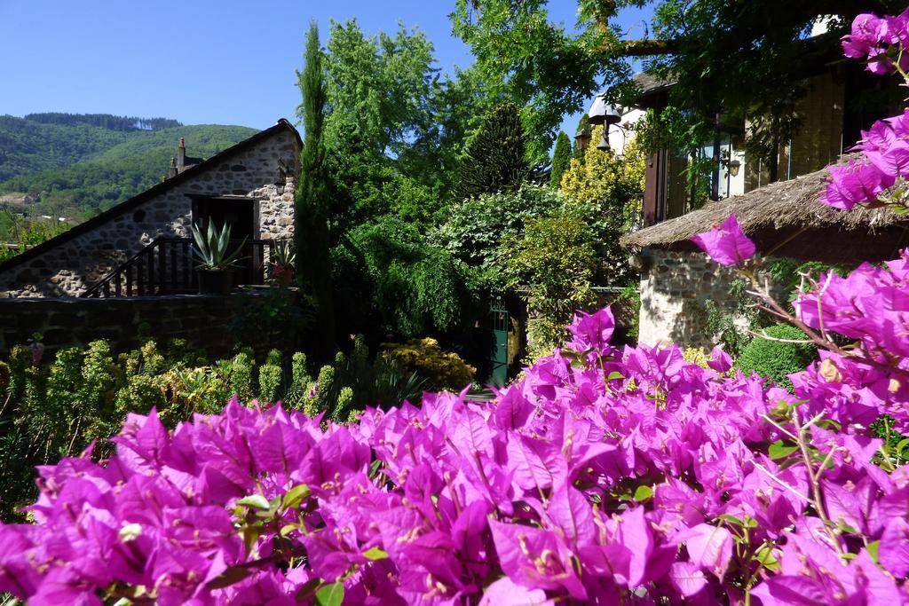 Hotel Du Lion D'Or Entraygues-sur-Truyère Екстериор снимка