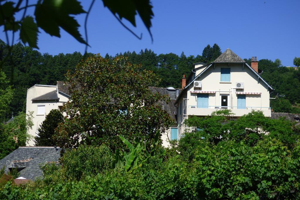 Hotel Du Lion D'Or Entraygues-sur-Truyère Екстериор снимка